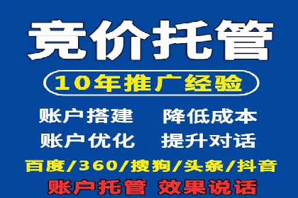 解析SEM托管公司经典案例：如何制定有效的广告策略